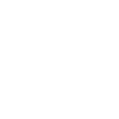 Custom Software Icon