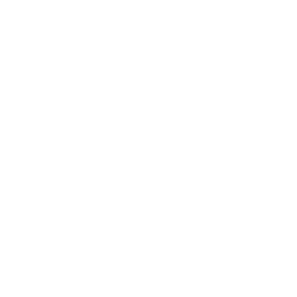 Custom Software Icon