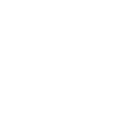 Custom Software Icon
