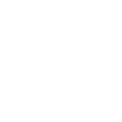 Custom Software Icon